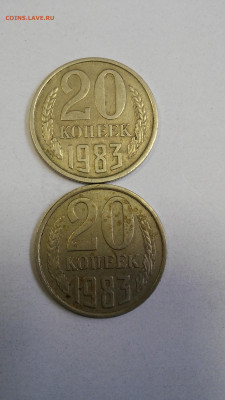 20 копеек 1983г.Прошу определить разновидность. - 20191021_145147