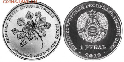 Приднестровье. - Приднестровье, 1 рубль, 2019г., Водяной орех