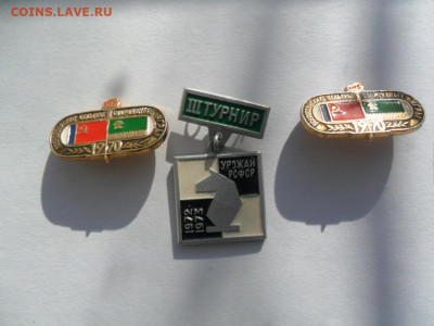 урожай 3шт фикс - SAM_5662.JPG