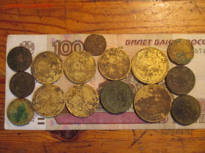 ранние советы 15 монет огородный сохран - IMG_8237 (Копировать).JPG