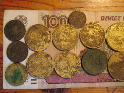 ранние советы 15 монет огородный сохран - IMG_8241 (Копировать).JPG