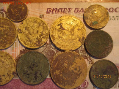 ранние советы 15 монет огородный сохран - IMG_8248 (Копировать).JPG