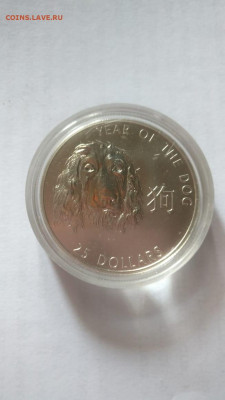 Соломоновы о-ва 25 $ «Год собаки» 2006 Ag 925. UNC до 25.10 - Соломоновы1