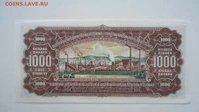 ЮГОСЛАВИЯ 1000 ДИНАР 1955  АUNC - DSC06707.JPG