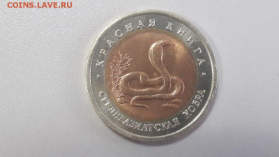 Красная книга: 10р 1992г. Среднеазиатская кобра, до 28.10 - Ч Кобра-1