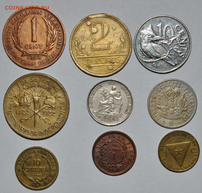 Латиноамериканская солянка 2 ,нечастая.26.10.2019 22.00 - 29.JPG