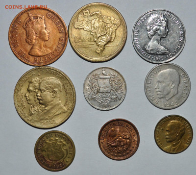 Латиноамериканская солянка 2 ,нечастая.26.10.2019 22.00 - 30.JPG