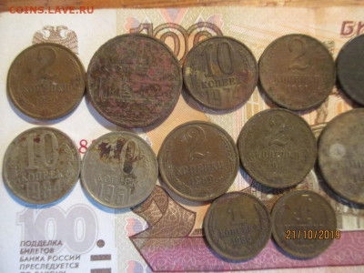 ранние советы 15 монет огородный сохран - IMG_8240 (Копировать).JPG