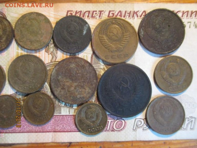 ранние советы 15 монет огородный сохран - IMG_8252 (Копировать).JPG
