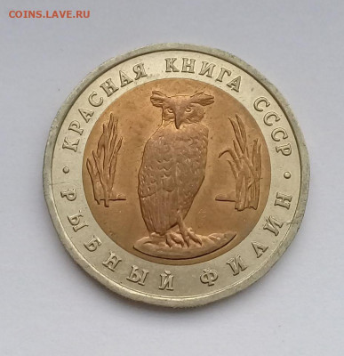 5р.1991г.КК Рыбный филин с 200р. до 24.10. в 22:20 - 20191022_152952