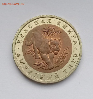 10р.1992г.КК Амурский тигр с 200р. до 24.10. в 22:20 - 20191022_153029