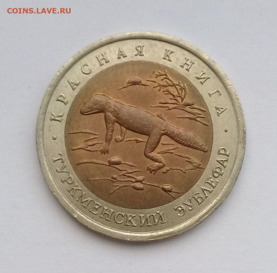 50р.1993г.КК Туркменский эублефар с 200р. до 24.10. в 22:20 - 20191022_153241