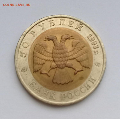 50р.1993г.КК Гималайский медведь с 200р. до 24.10. в 22:20 - 20191022_153339