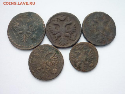 Денга РИ 1731, 37, 50, 51; полушка 1735. До 27.10.19г.,21.00 - P1030900.JPG