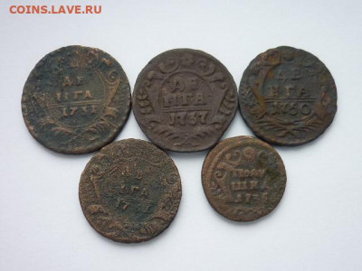 Денга РИ 1731, 37, 50, 51; полушка 1735. До 27.10.19г.,21.00 - P1030896.JPG
