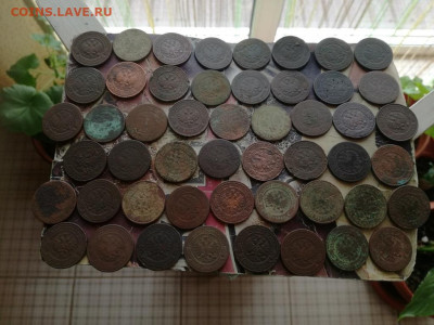 2 копейки 1869-1916, 50 штук до 27.10.2019 - 50дв (2) - копия