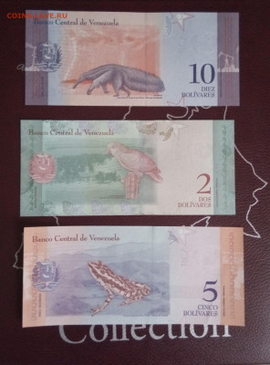набор бон Венесуэла 3шт, UNC до 27,10,19до22,00 - IMG_20191024_094428_011
