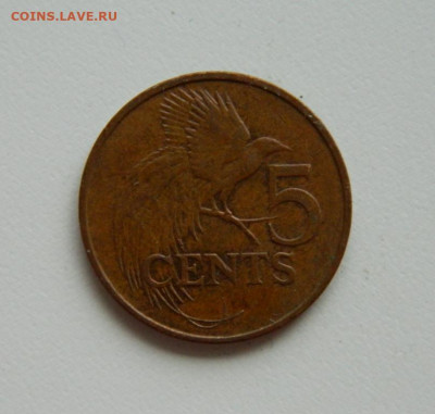 Тринидад и Тобаго 5 центов 2005 г. (Фауна) до 28.10.19 - DSCN0017.JPG