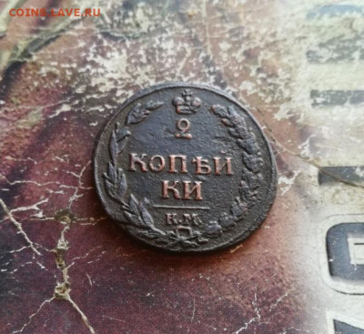 б тетерев до 29.10.2019 - 1812 - копия
