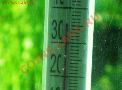 перекличка городов по температуре - SDC12624.JPG