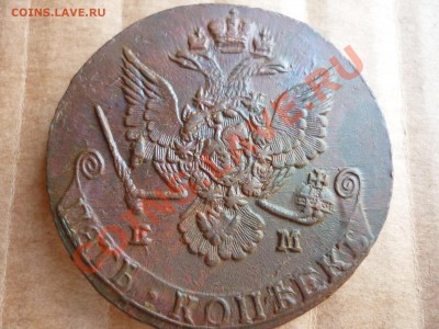 5 копеек 1781 ем Очень хорошая!!! до 28.07 - P1020956.JPG