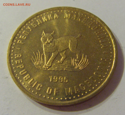 5 денар 1995 ФАО Македония №1 03.11.2019 22:00 МСК - CIMG4726.JPG
