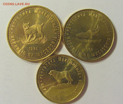 Набор 1,2,5 денар 1995 ФАО Македония №1 03.11.2019 22:00 МСК - CIMG4773.JPG