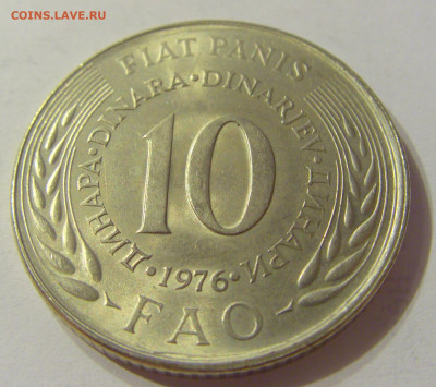10 динар 1976 ФАО Югославия №2 03.11.2019 22:00 МСК - CIMG5456.JPG