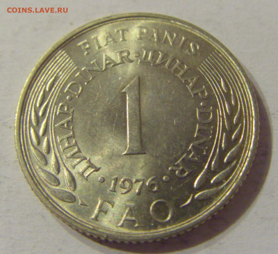 1 динар 1976 ФАО Югославия №2 03.11.2019 22:00 МСК - CIMG5688.JPG