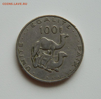 Джибути 100 франков 2004 г. (Фауна). до 31.10.2019 - DSCN9917.JPG