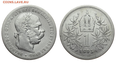 Австрия. 1 корона 1895 г. До 30.10.19. - DSH_4774.JPG