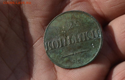 2 копейки 1831 см - DSC_0260