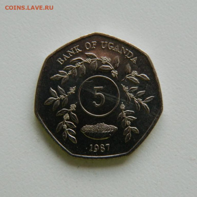 Уганда 5 шиллингов 1987 г, без оборота. до 31.10.2019 - DSCN9972.JPG