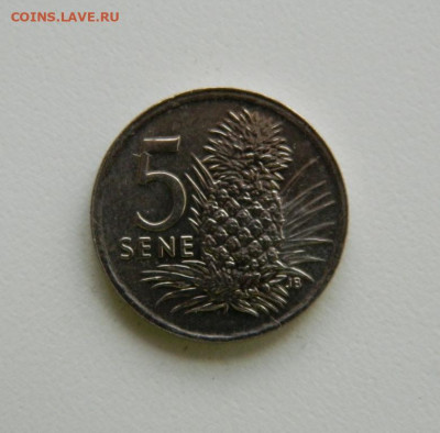 Самоа 5 сене 2000 г. до 31.10.19 - DSCN9975.JPG