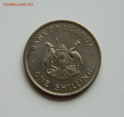 Уганда 1 шиллинг 1976 г. (Фауна). до 31.10.19 - DSCN0024.JPG