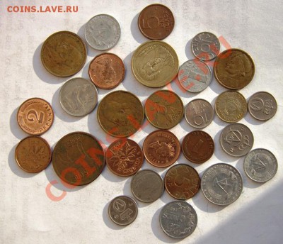 ассорти 3 до 22-00 1 авг - IMG_8210.CR2