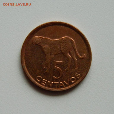 Мозамбик 5 сентаво 2006 г.(Фауна)без оборота. до 31.10.19 - DSCN9986.JPG