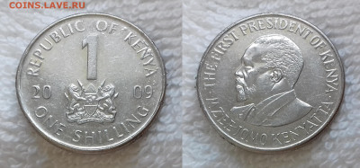 КЕНИЯ 1 шиллинг 2009 до 4 ноября 22-00 - КЕНИЯ 1 шиллинг 2009 20190503_1305