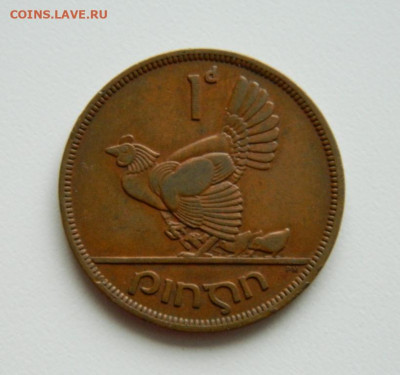 Ирдандия 1 пенни 1948 г. (Фауна). до 04.11.19 - DSCN9872.JPG