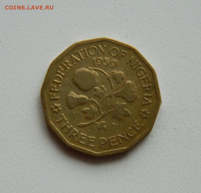 Британская Нигерия 3 пенса 1959 г. до 04.11.19 - DSCN9880.JPG