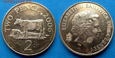 Гернси - 2 пенса 2006 года (Фауна) до 4.11 - Гернси 2 пенса, 2006