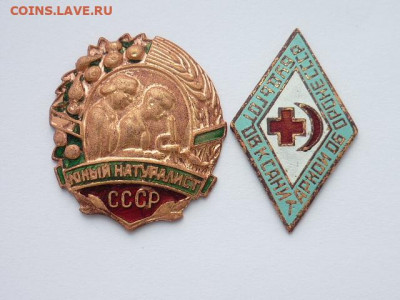Знаки СССР:"Юный натуралист","Будь готов к санитар. обороне" - P1040184.JPG