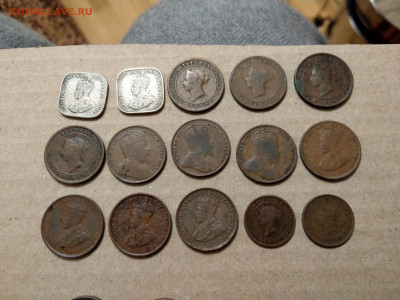 Монеты Цейлона 1870-1930е (Виктория, Эдуард) до 31.10 - IMAG3834