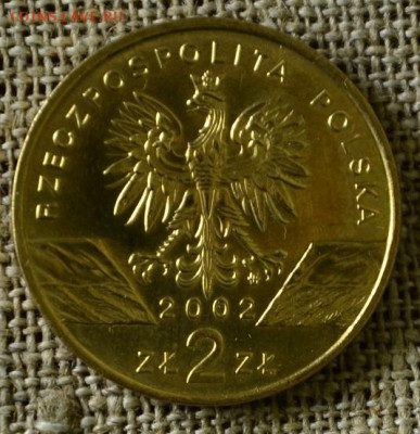 2 злотых Польша 2002 Болотная Черепаха до 06.11 в 21-00 мск - Чеепаха2