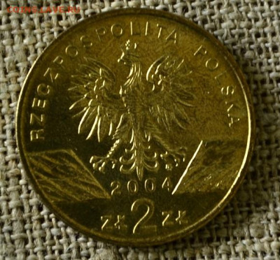 2 злотых Польша 2004 Морсвин до 06.11 в 21-00 мск - Морсвин1