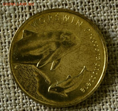 2 злотых Польша 2004 Морсвин до 06.11 в 21-00 мск - Морсвин2