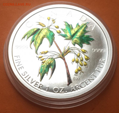 Канада 5$ 2003г Клен цветной, до 03.11.19г - IMG_3773
