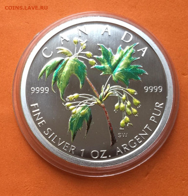 Канада 5$ 2003г Клен цветной, до 03.11.19г - IMG_3772