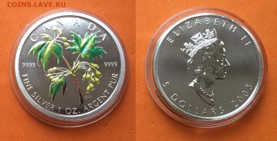 Канада 5$ 2003г Клен цветной, до 03.11.19г - IMG_3863.JPG