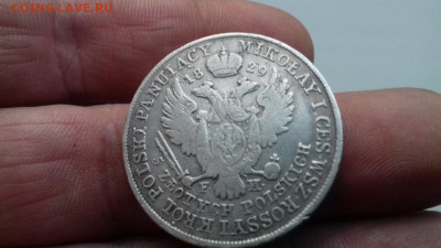 5 Злотых 1829г - 013